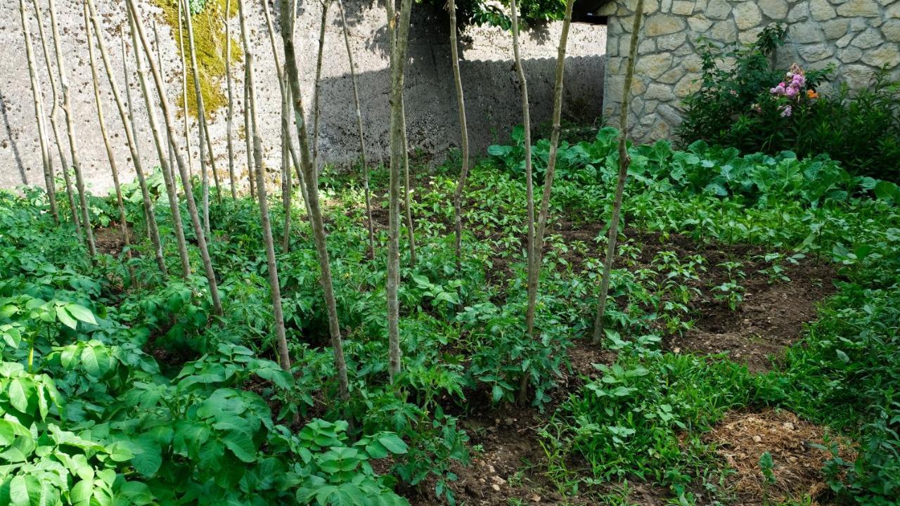 Country House Djurisic Вирпазар Екстериор снимка