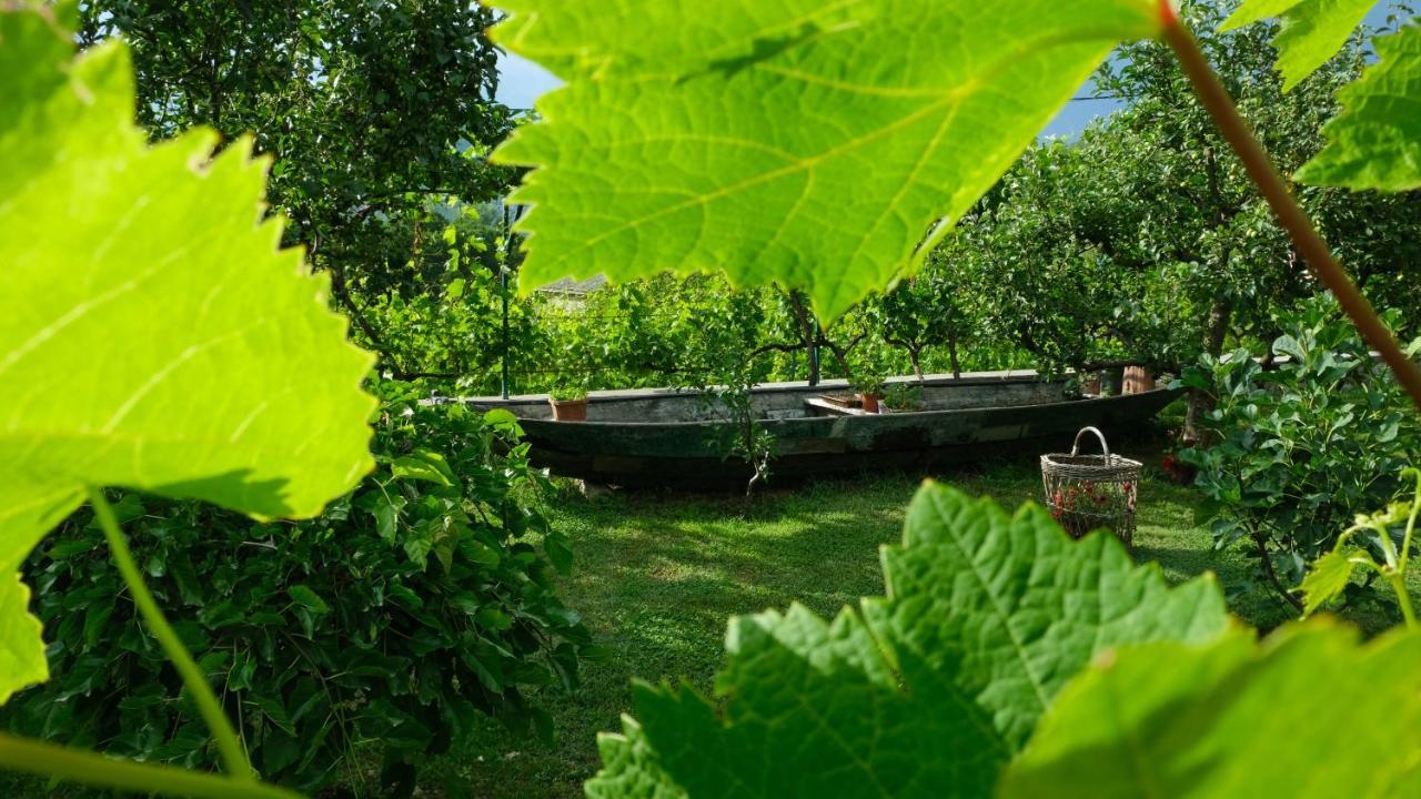 Country House Djurisic Вирпазар Екстериор снимка